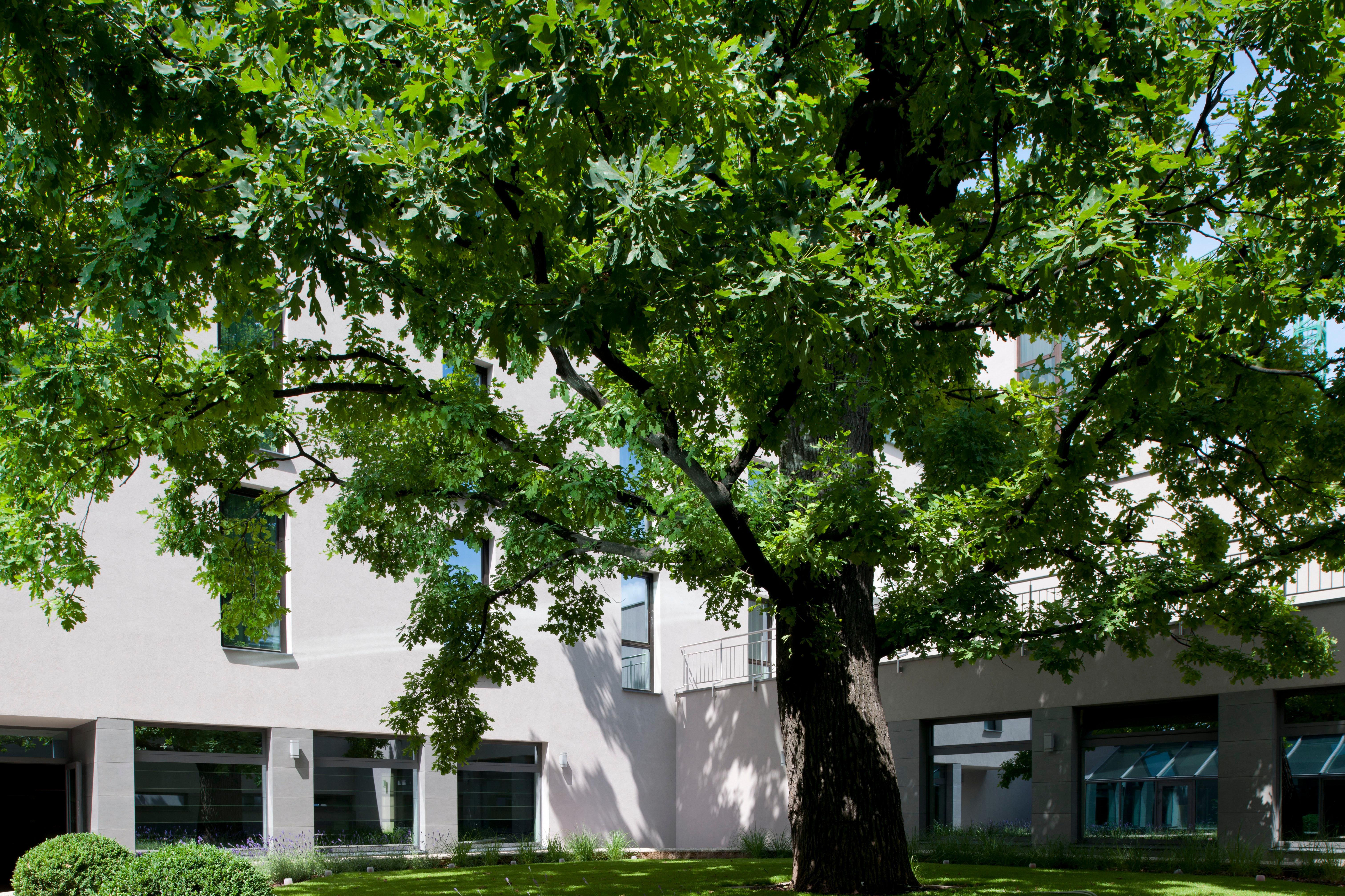 Holiday Inn Trnava By Ihg Kültér fotó